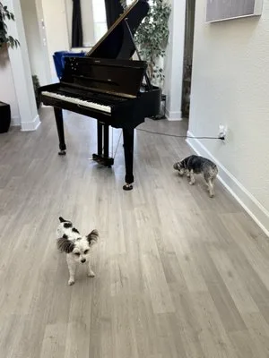 Anytime Anywhere Piano & Moving LLC photo 3